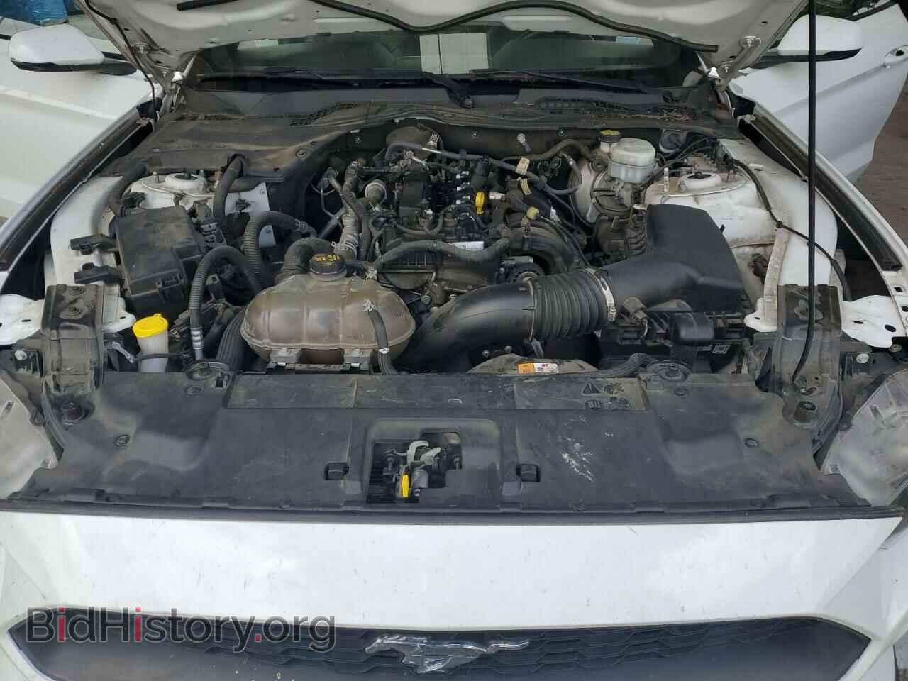 2018 FORD ALL Models - VIN: 1FA6P8TH5J5115564 - Photo 11