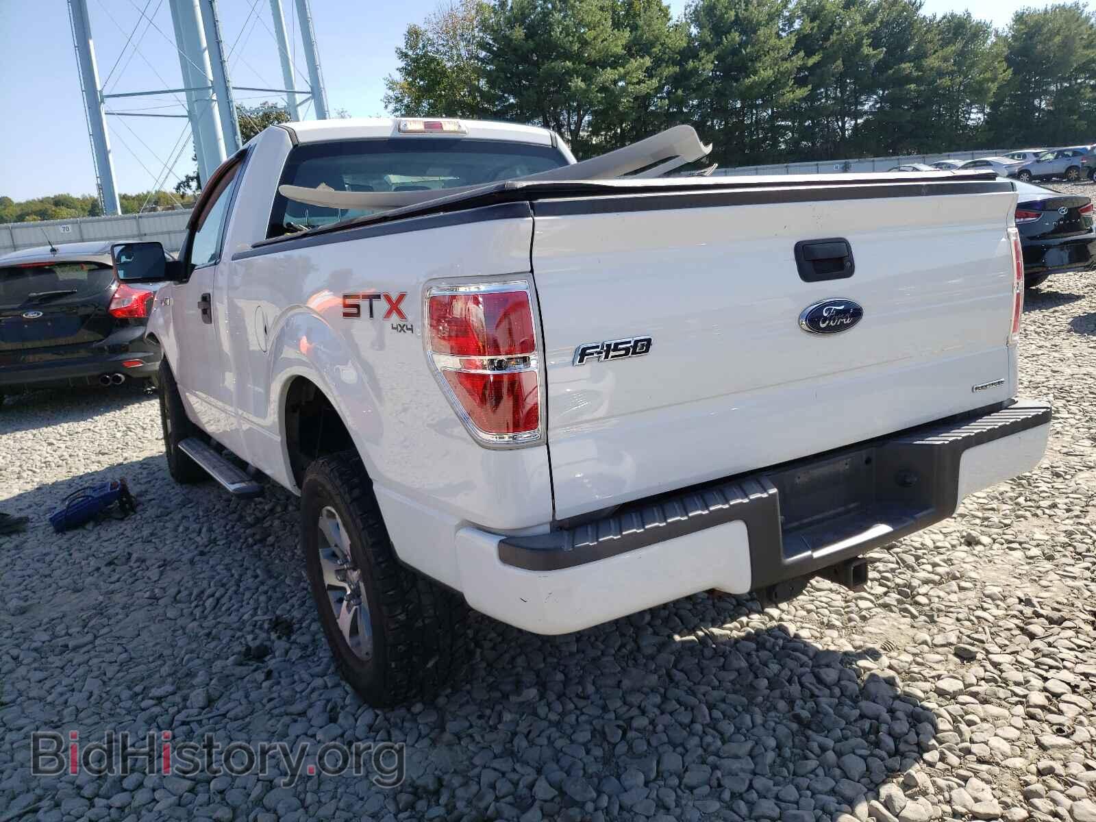 2013 FORD F150 - VIN: 1FTMF1EM1DFD07858 - Фото 3