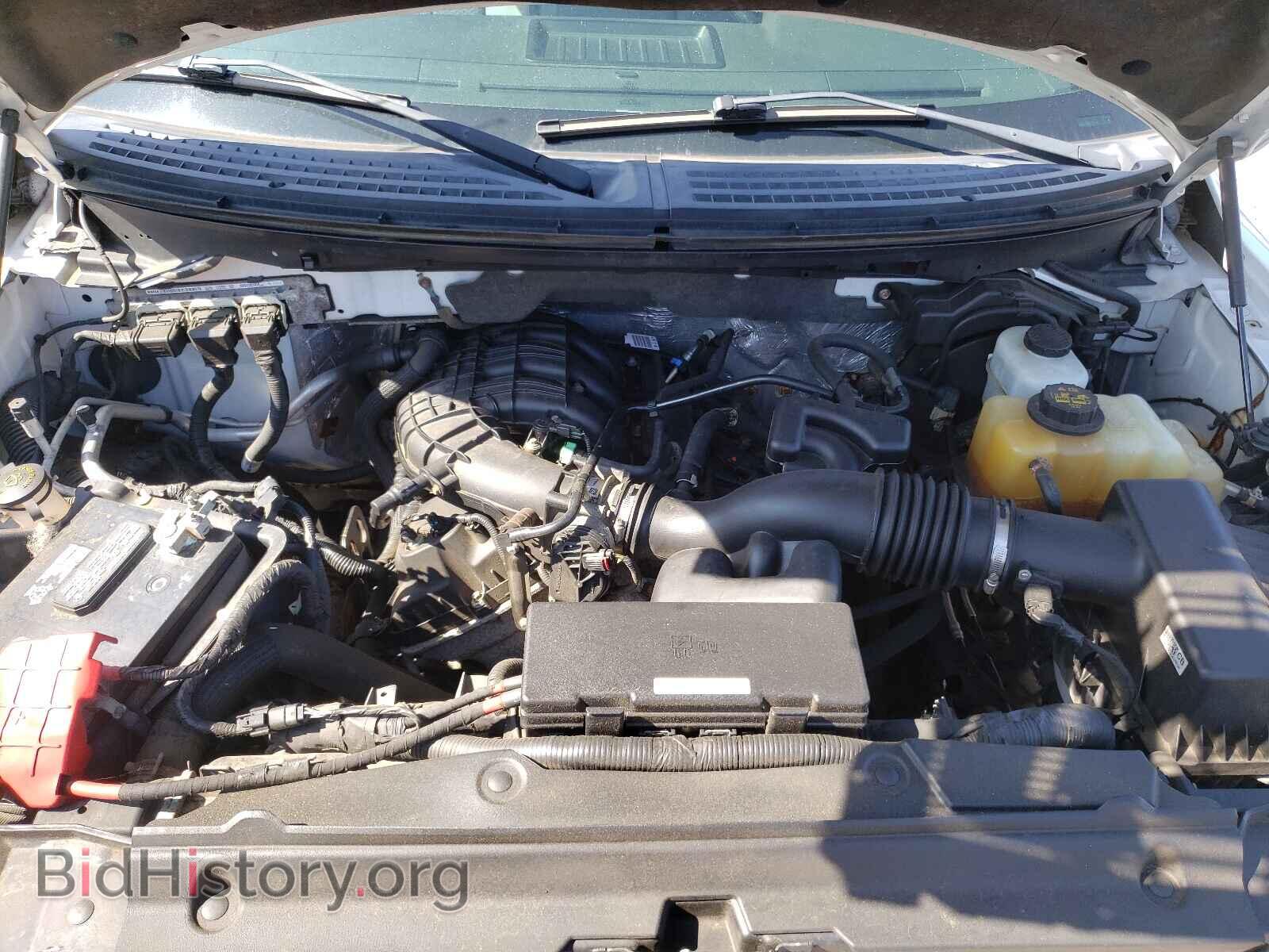 2013 FORD F150 - VIN: 1FTMF1EM1DFD07858 - Фото 7