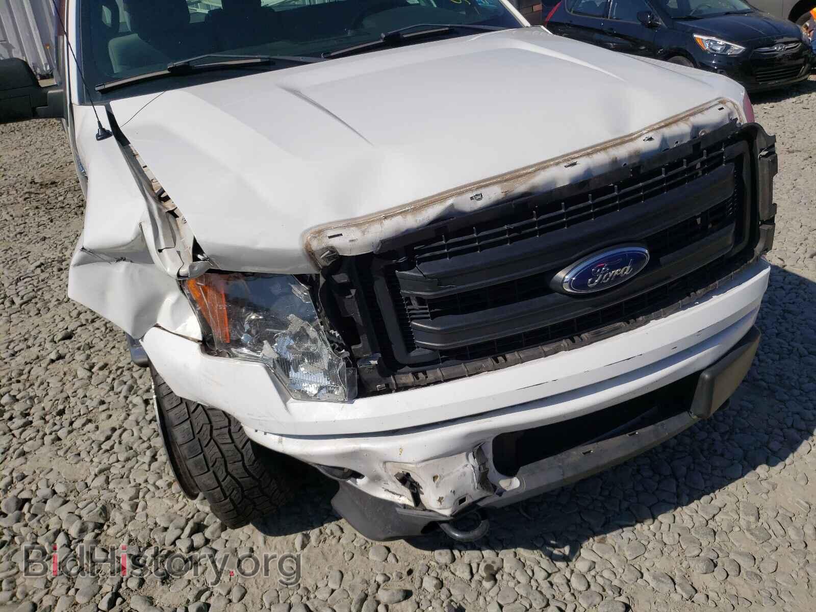 2013 FORD F150 - VIN: 1FTMF1EM1DFD07858 - Фото 9