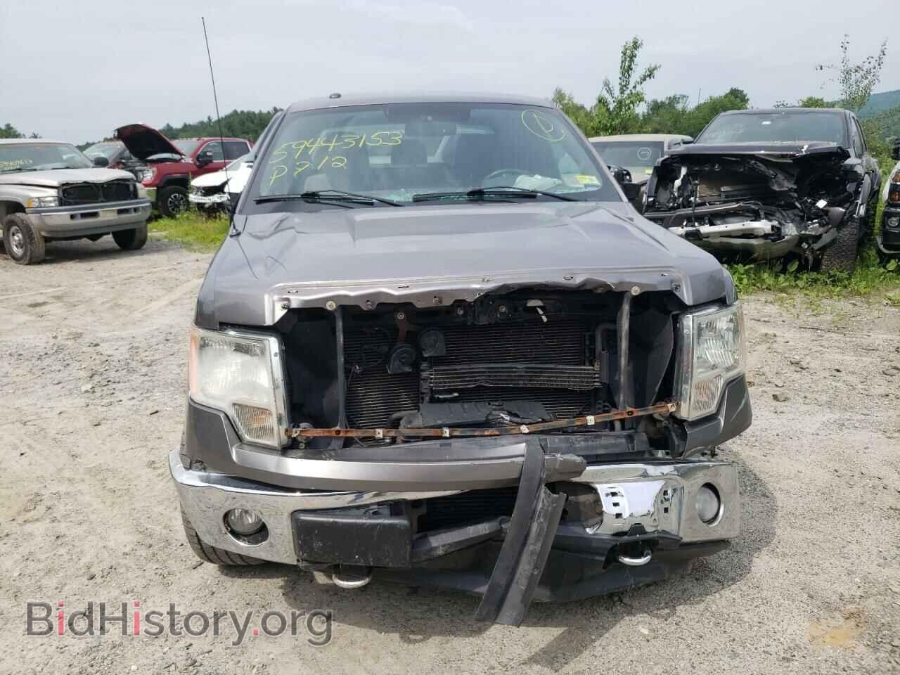 2012 FORD F-150 - VIN: 1FTFX1ET5CFC46333 - Фото 5