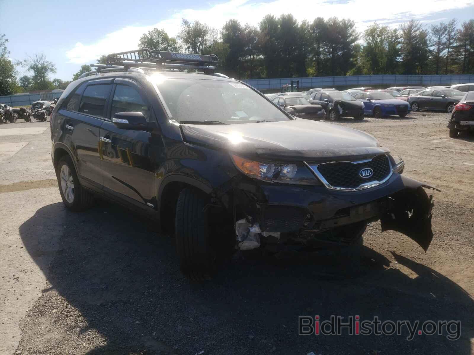 Photo 5XYKTDA25BG176109 - KIA SORENTO 2011