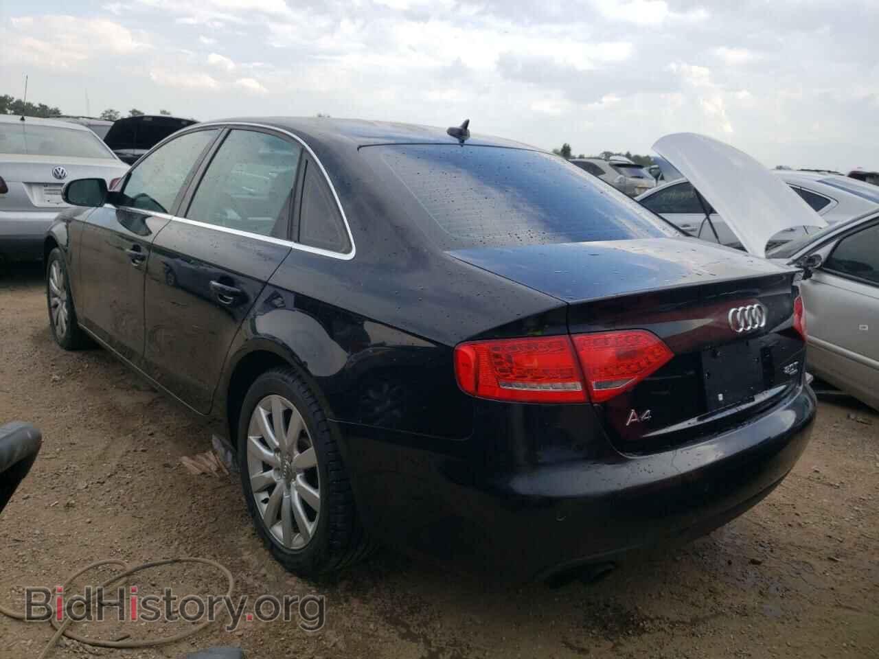 2010 AUDI A4 - VIN: WAUFFAFL6AN035997 - Фото 2