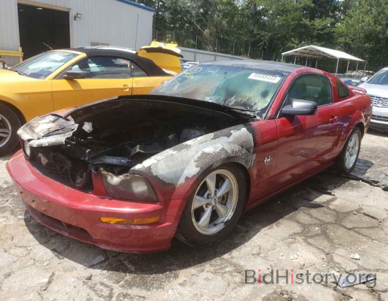 Photo 1ZVHT82H695120491 - FORD MUSTANG 2009