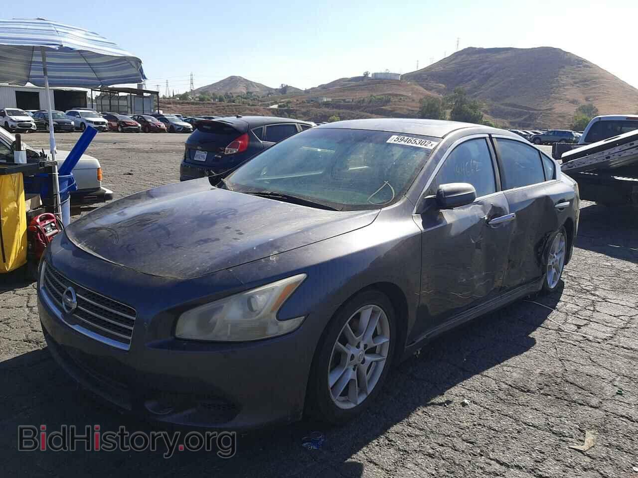 2009 NISSAN MAXIMA - VIN: 1N4AA51E49C851969 - Фото 2