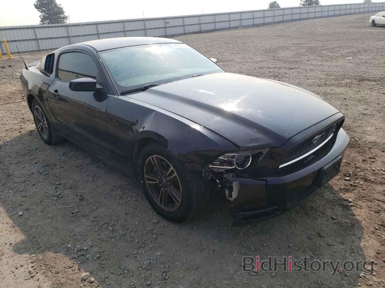 Photo 1ZVBP8AM2D5214241 - FORD MUSTANG 2013