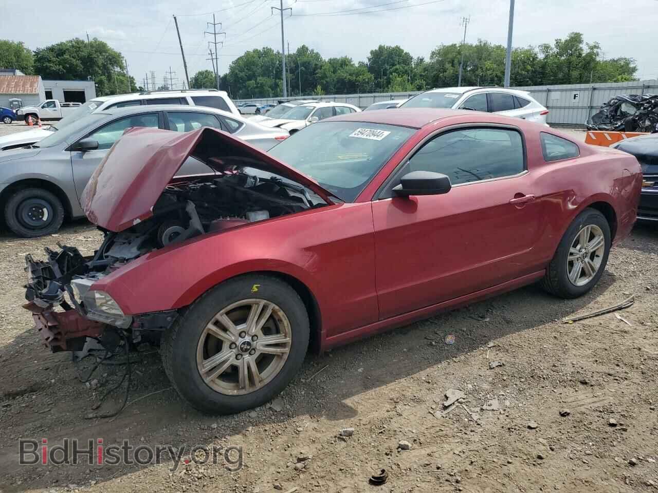 Photo 1ZVBP8AM1E5206147 - FORD ALL Models 2014