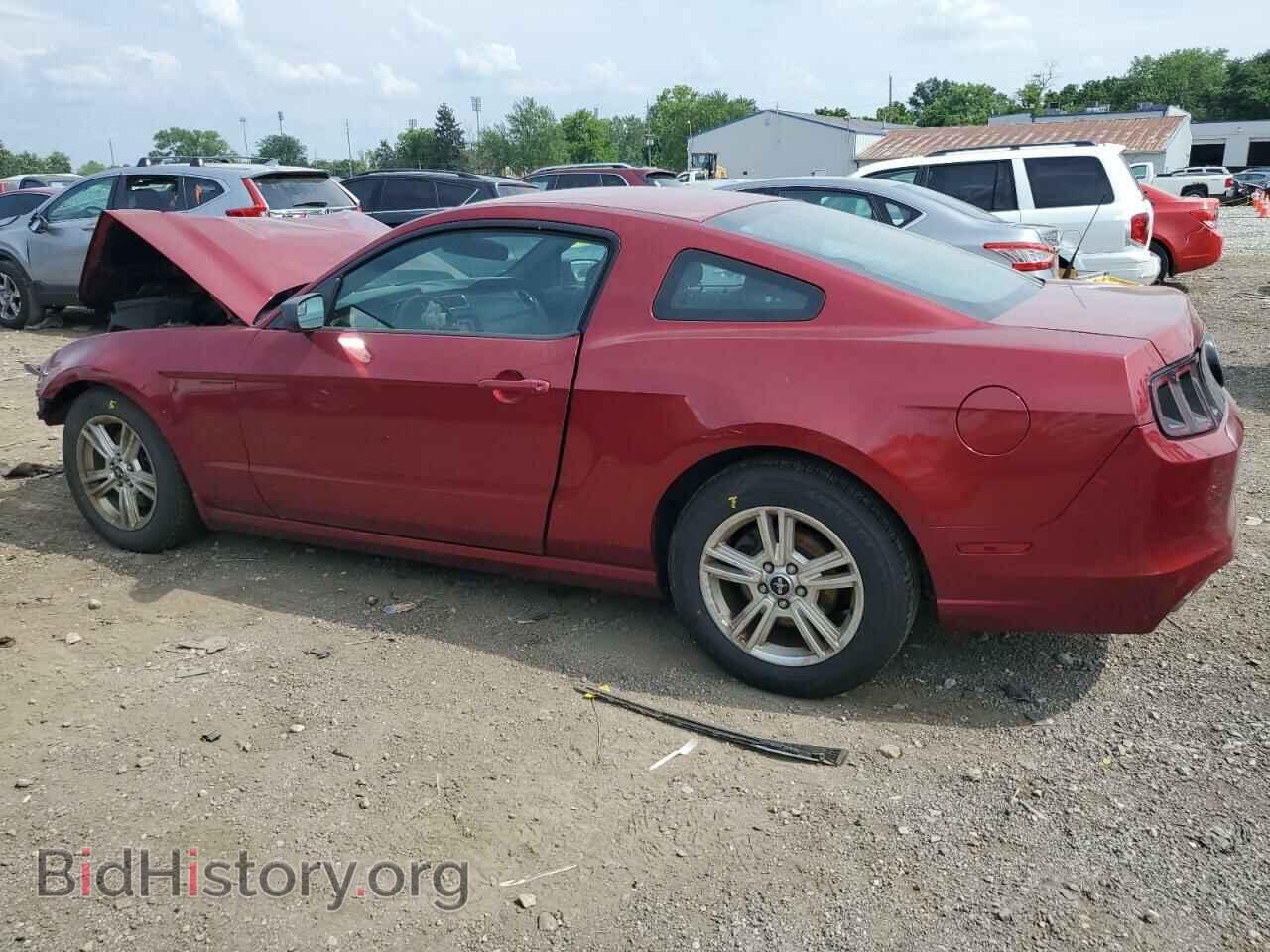 2014 FORD ALL Models - VIN: 1ZVBP8AM1E5206147 - Photo 2