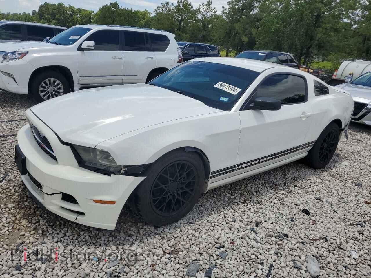 Photo 1ZVBP8AM2D5226549 - FORD ALL Models 2013