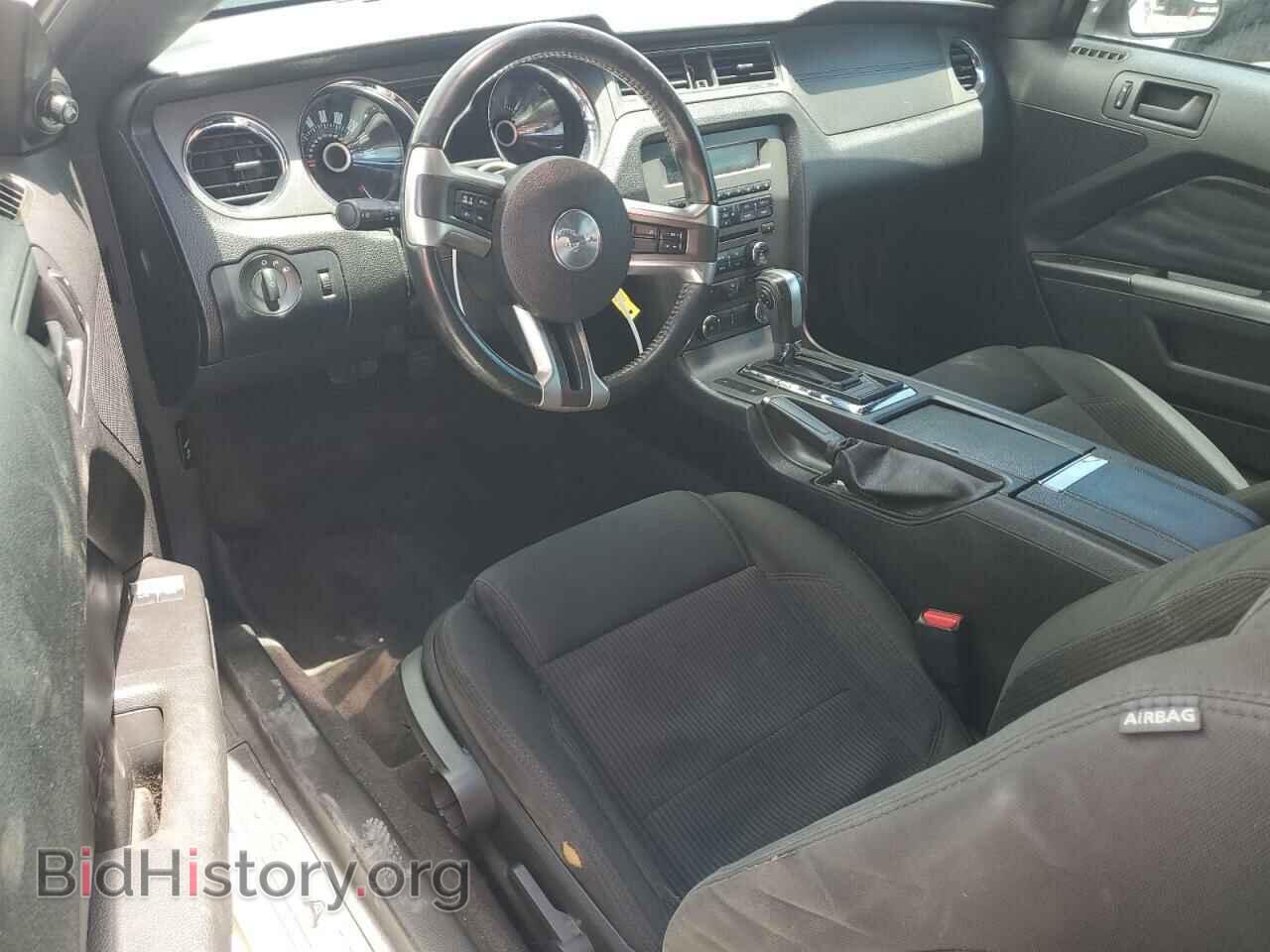 2013 FORD ALL Models - VIN: 1ZVBP8AM2D5226549 - Фото 8