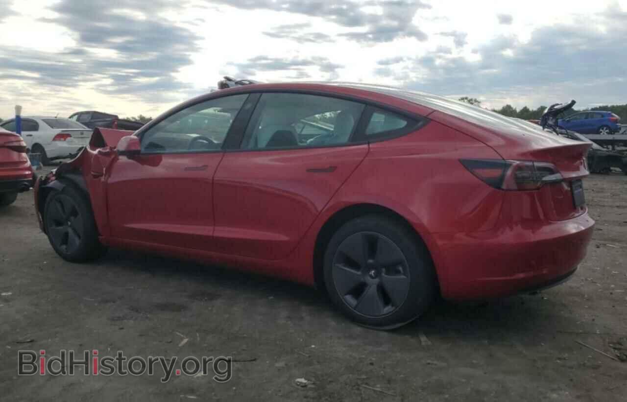 2023 TESLA MODEL 3 - VIN: 5YJ3E1EA8PF642838 - Photo 2