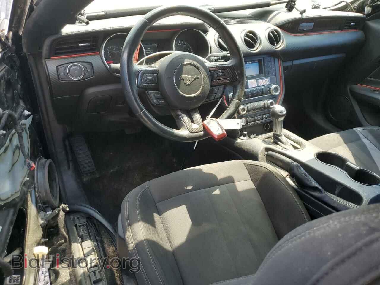 2019 FORD ALL Models - VIN: 1FA6P8TH2K5111960 - Photo 8