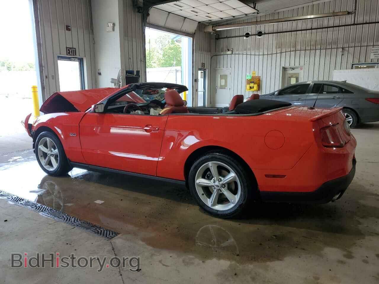 2011 FORD MUSTANG - VIN: 1ZVBP8FF7B5162676 - Фото 2