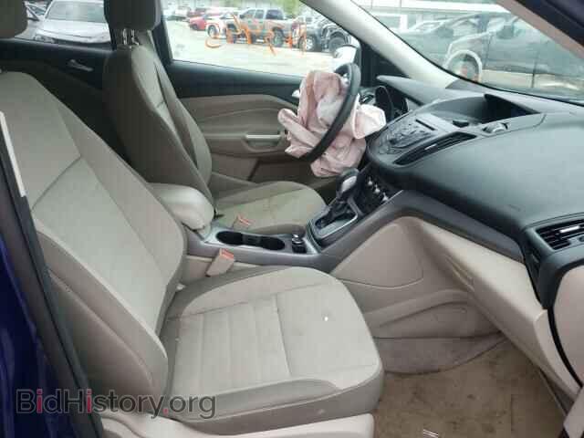 2013 FORD ESCAPE - VIN: 1FMCU0GX6DUB92698 - Фото 5