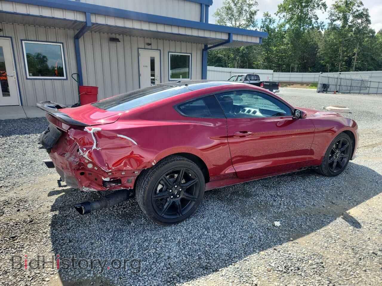 2019 FORD ALL Models - VIN: 1FA6P8TH0K5167704 - Фото 3