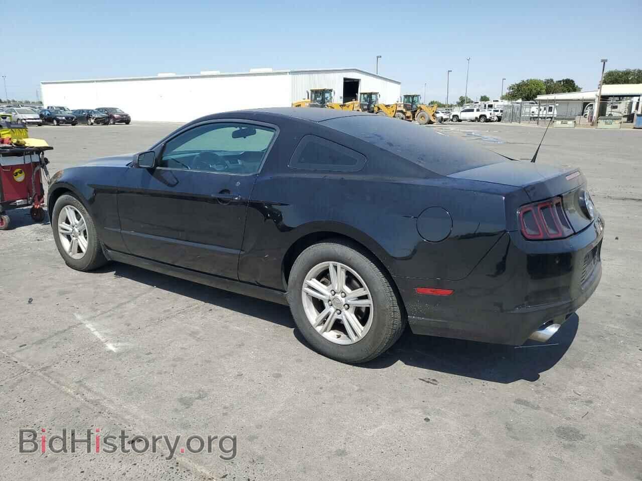 2013 FORD ALL Models - VIN: 1ZVBP8AM6D5243659 - Фото 2