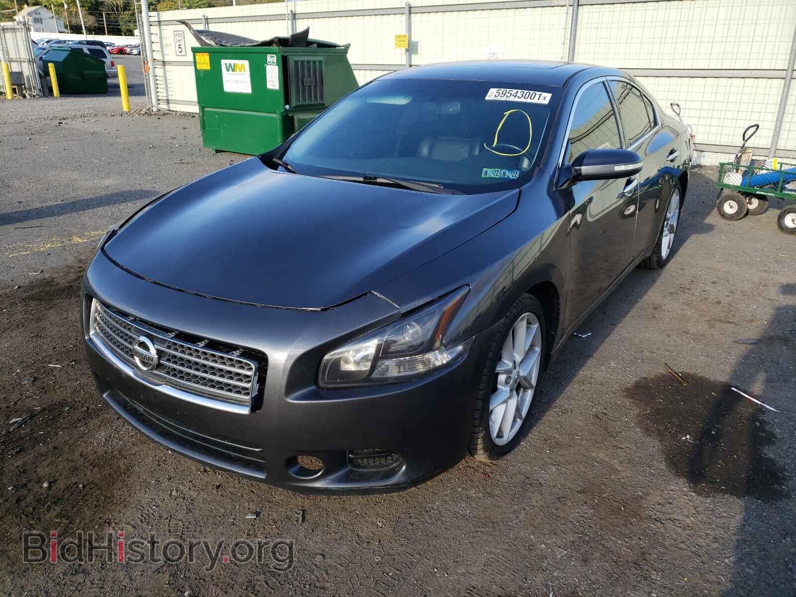 2009 NISSAN MAXIMA - VIN: 1N4AA51E19C832022 - Фото 2