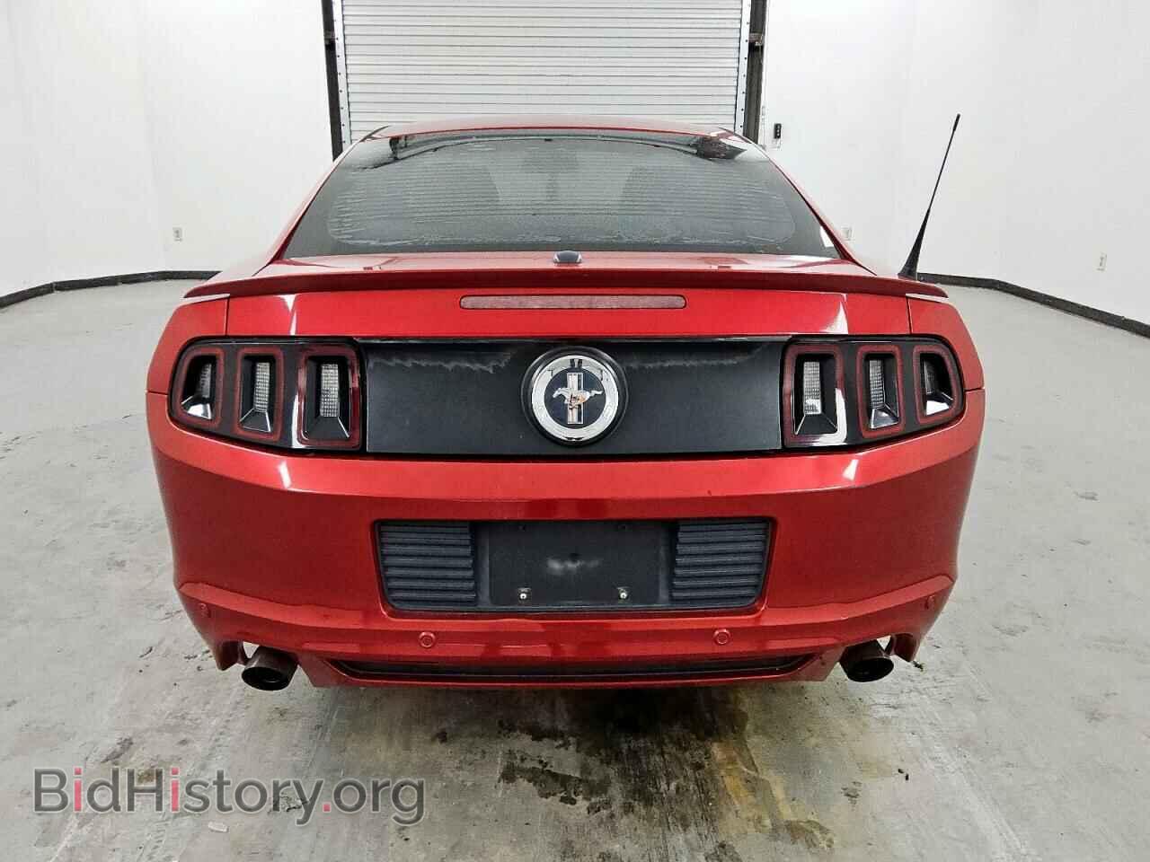 2013 FORD ALL Models - VIN: 1ZVBP8AM5D5241286 - Фото 6