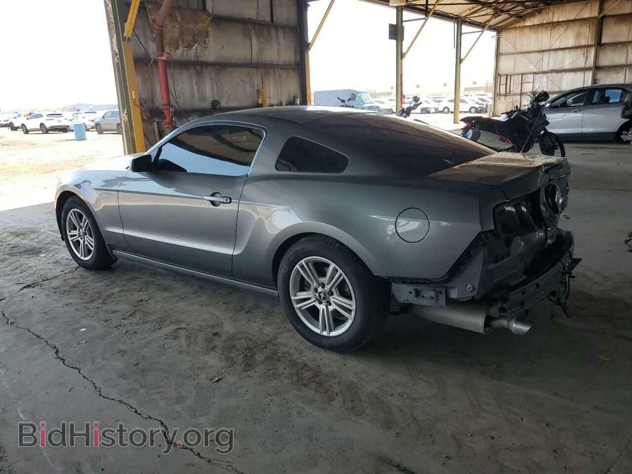 2013 FORD ALL Models - VIN: 1ZVBP8AM7D5221623 - Фото 2