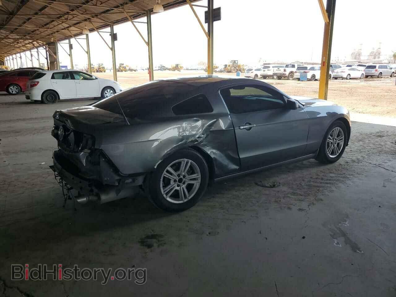 2013 FORD ALL Models - VIN: 1ZVBP8AM7D5221623 - Фото 3