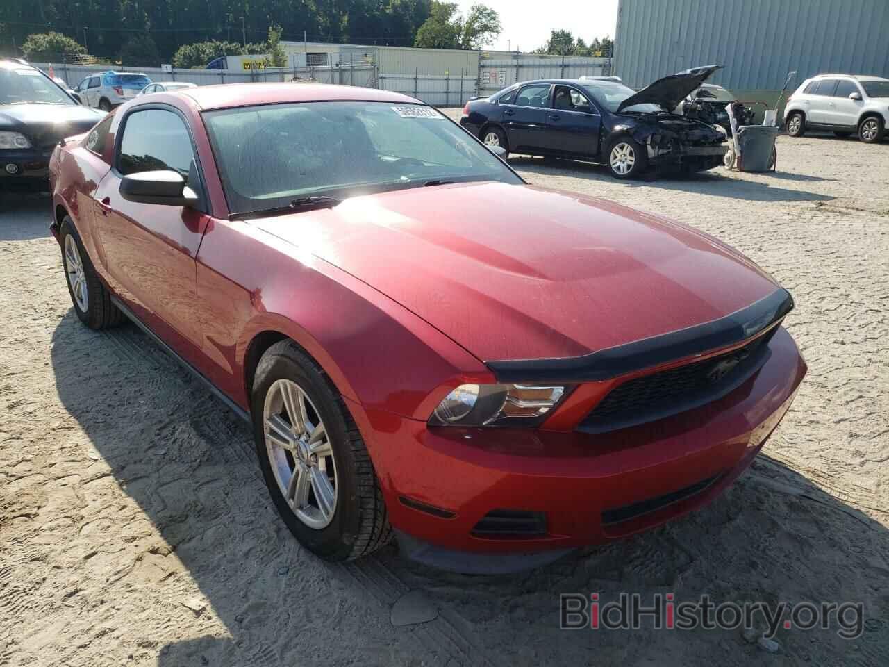 Photo 1ZVBP8AM7C5250585 - FORD MUSTANG 2012