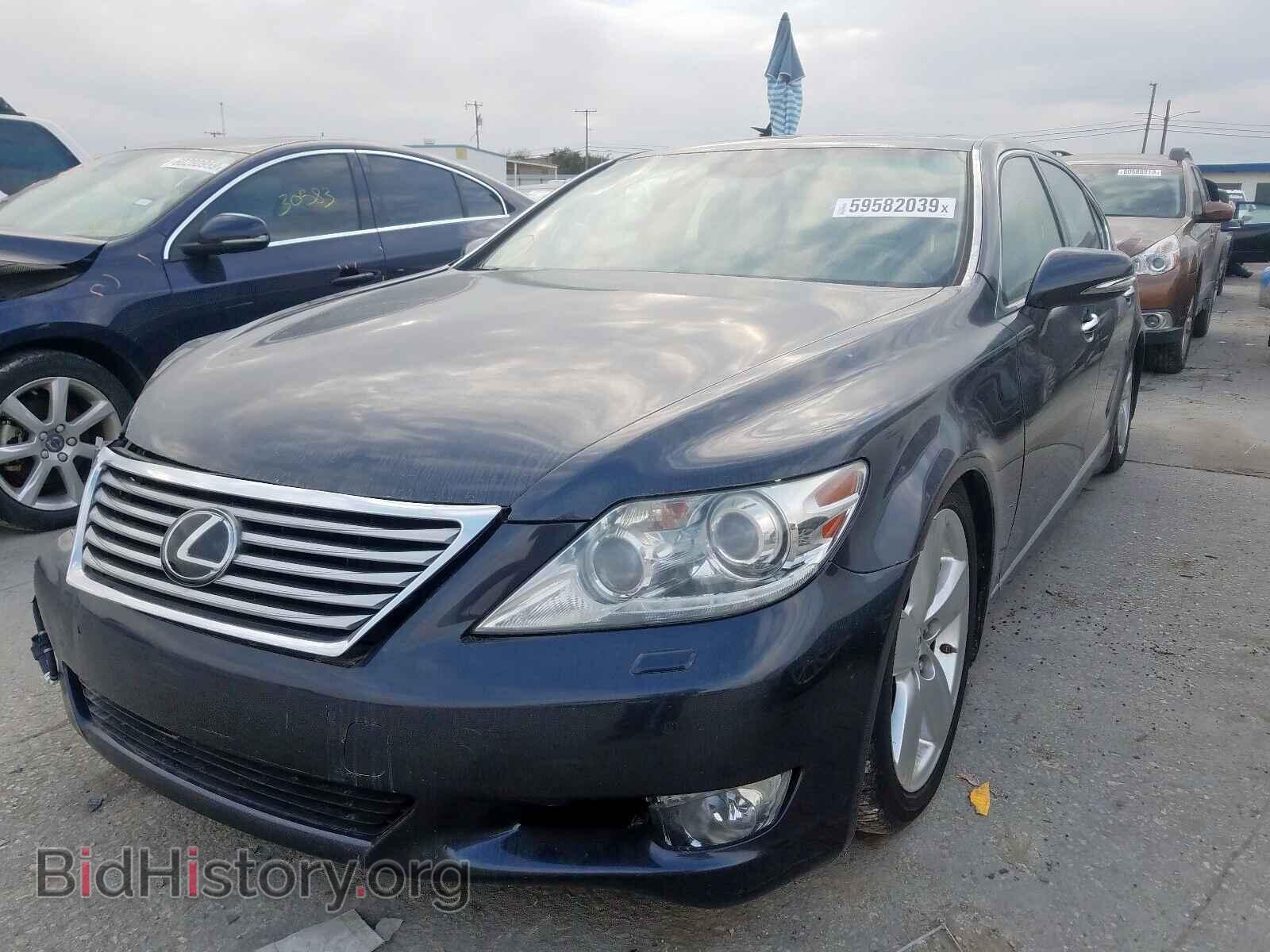 2010 LEXUS LS460 - VIN: JTHGL5EF1A5041496 - Фото 2