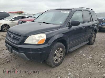 2005 Honda PILOT EX, black — VIN 5FNYF18405B018537, Copart