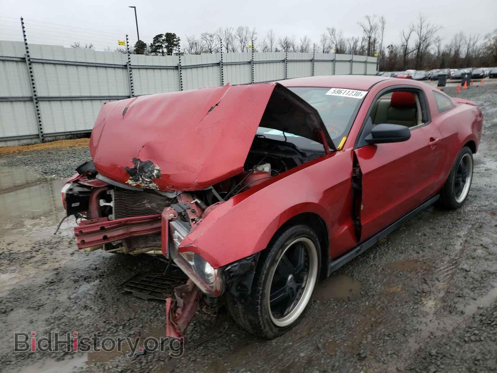 2011 FORD MUSTANG - VIN: 1ZVBP8AM9B5132620 - Фото 2