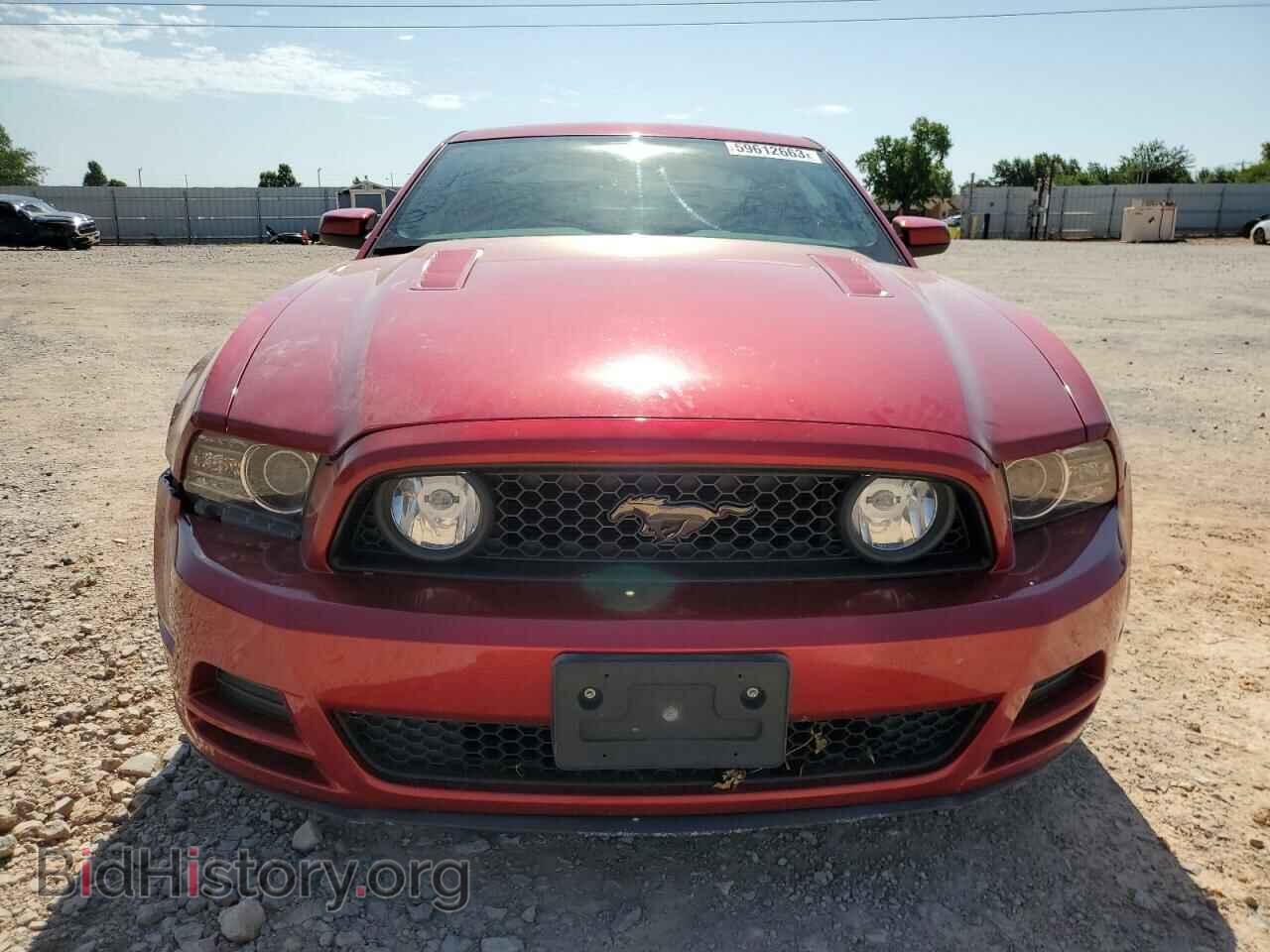 2013 FORD ALL Models - VIN: 1ZVBP8CF6D5254675 - Фото 5