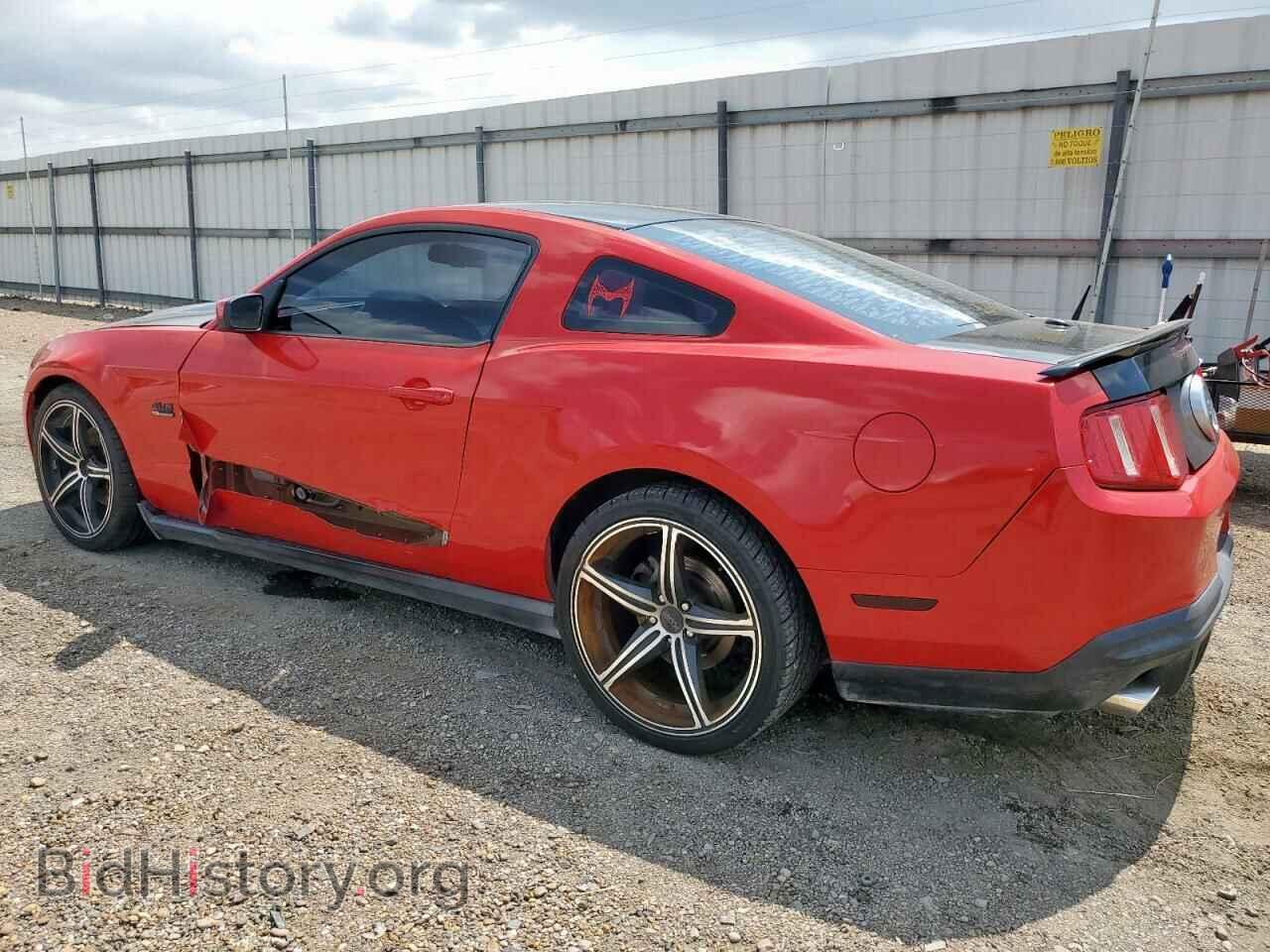 2010 FORD MUSTANG - VIN: 1ZVBP8CH5A5137084 - Фото 2