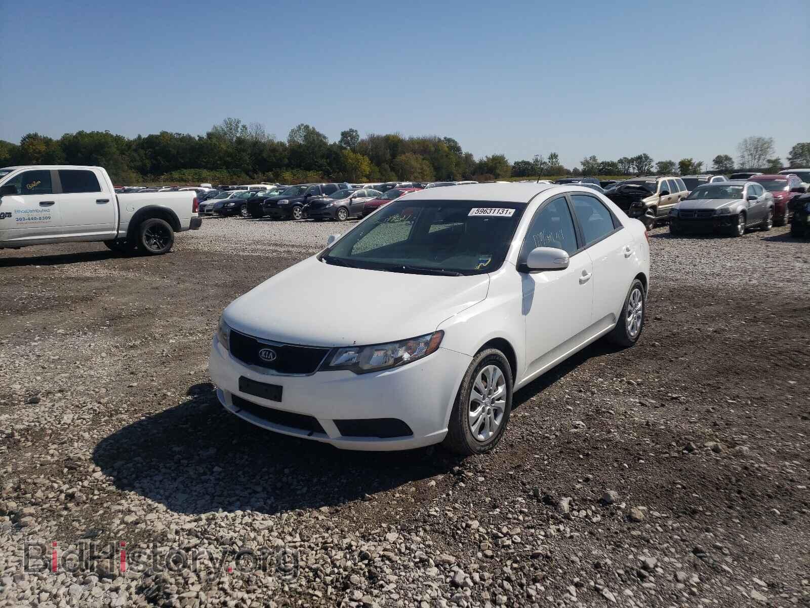 2010 KIA FORTE - VIN: KNAFU4A28A5235446 - Фото 2