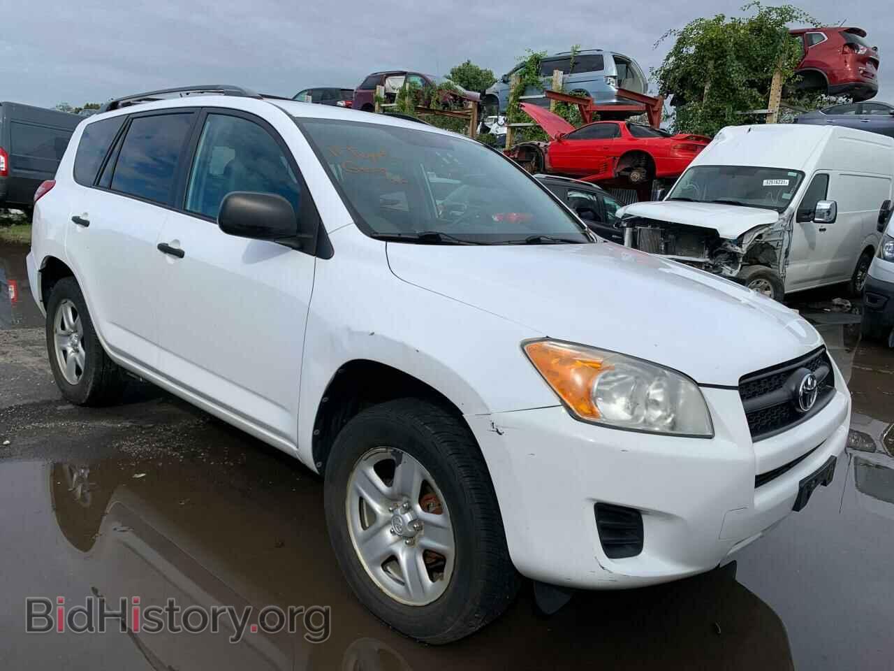Фотография 2T3BF4DV6BW121344 - TOYOTA RAV4 2011