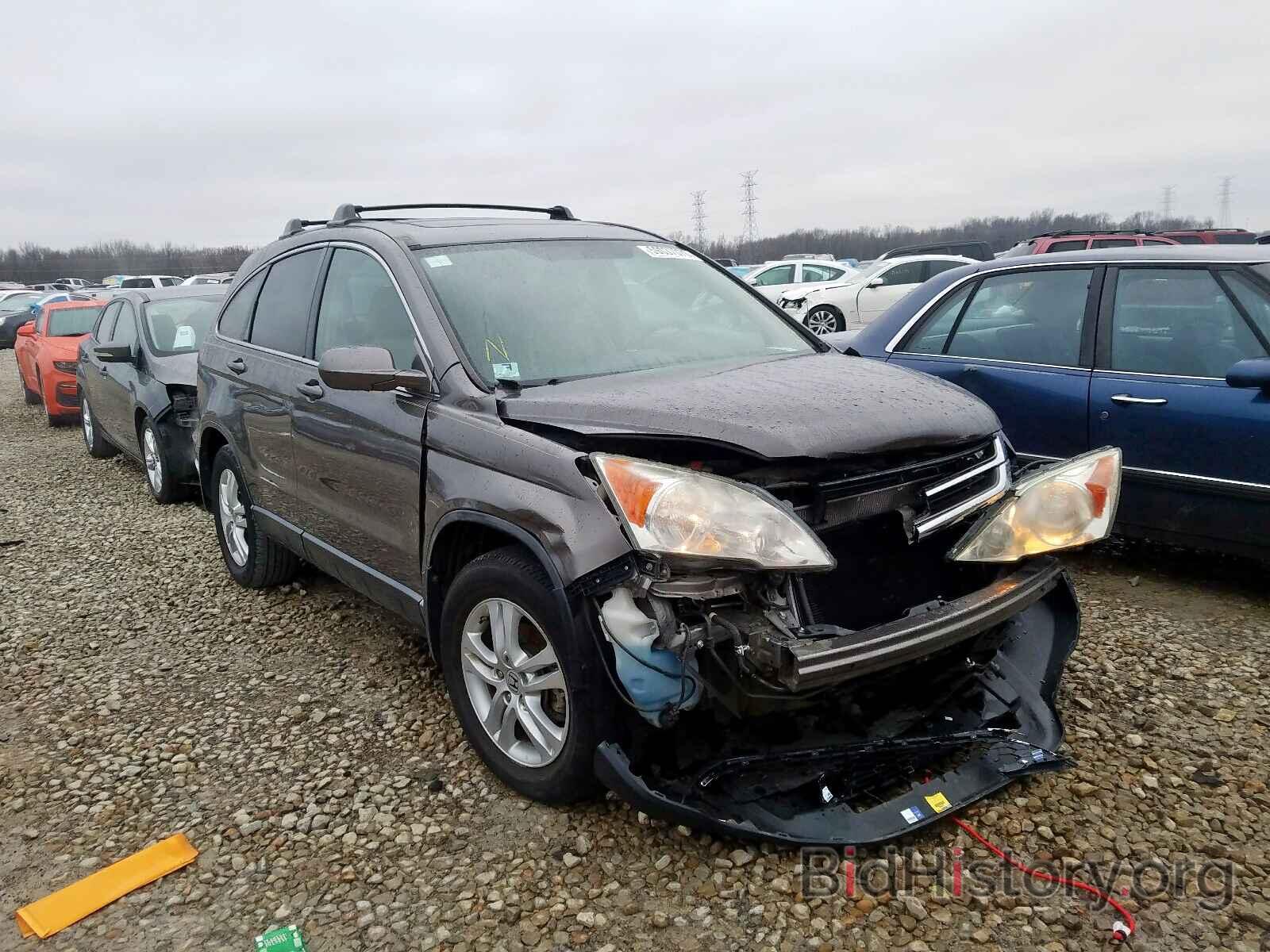 Photo 5J6RE3H72AL024614 - HONDA CR-V EXL 2010