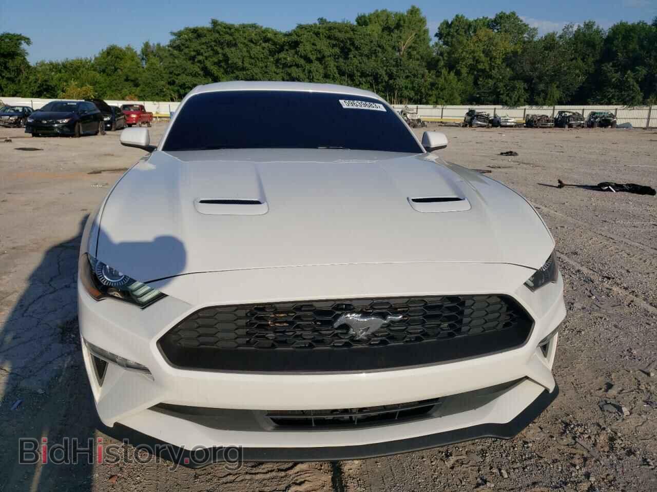 2019 FORD ALL Models - VIN: 1FA6P8TH5K5120510 - Фото 5