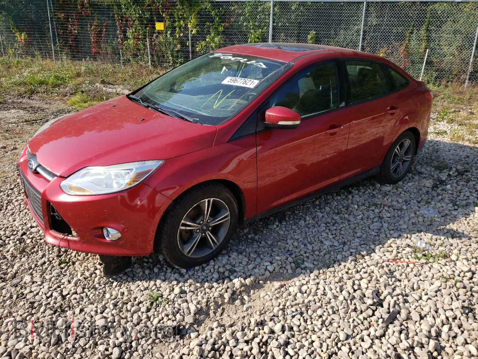 2012 FORD FOCUS - VIN: 1FAHP3F28CL408649 - Photo 2