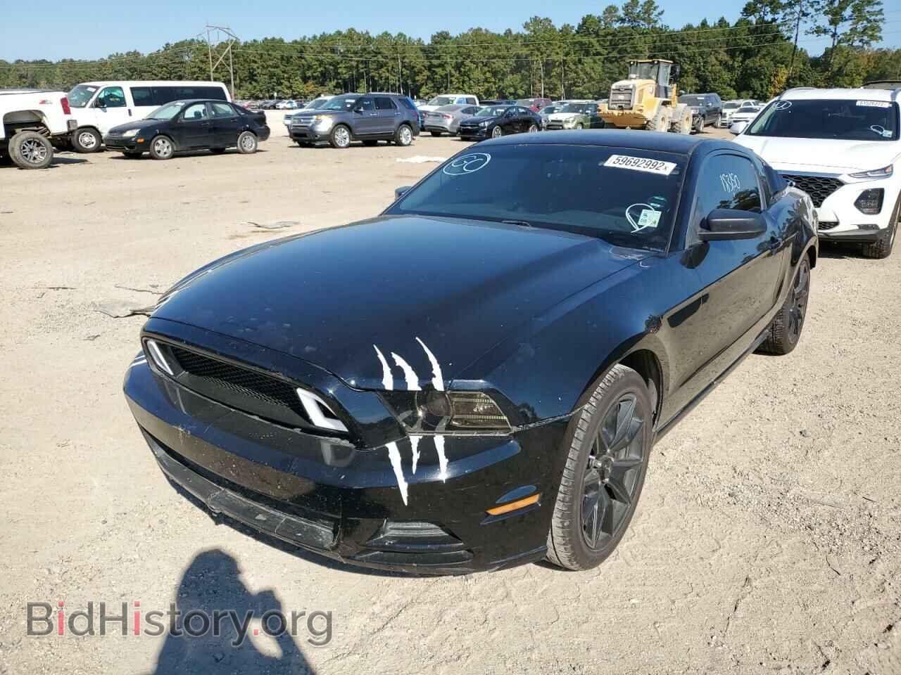 2013 FORD MUSTANG - VIN: 1ZVBP8AM8D5235370 - Фото 2