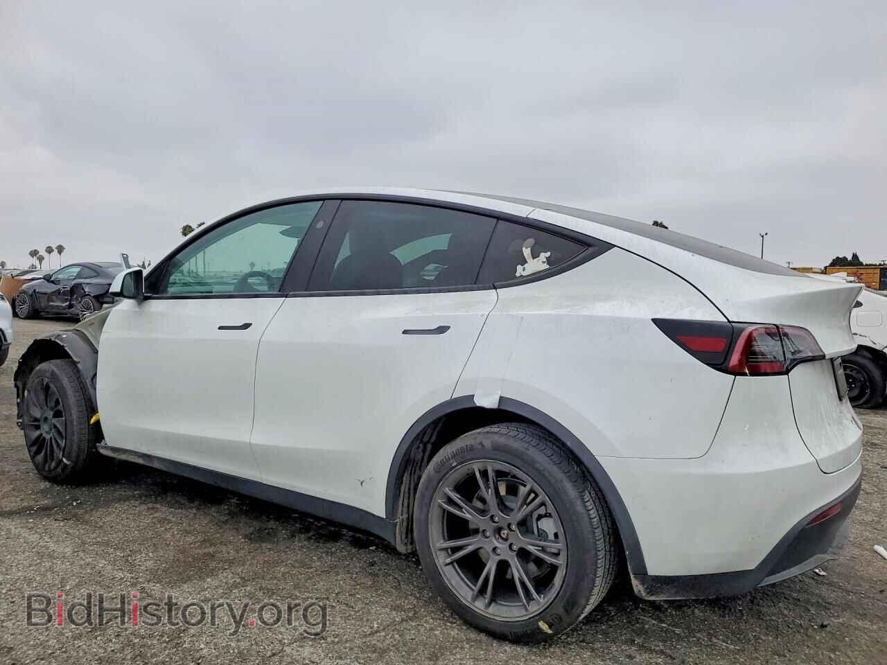 2024 TESLA MODEL Y - VIN: 7SAYGDED8RF191931 - Фото 2