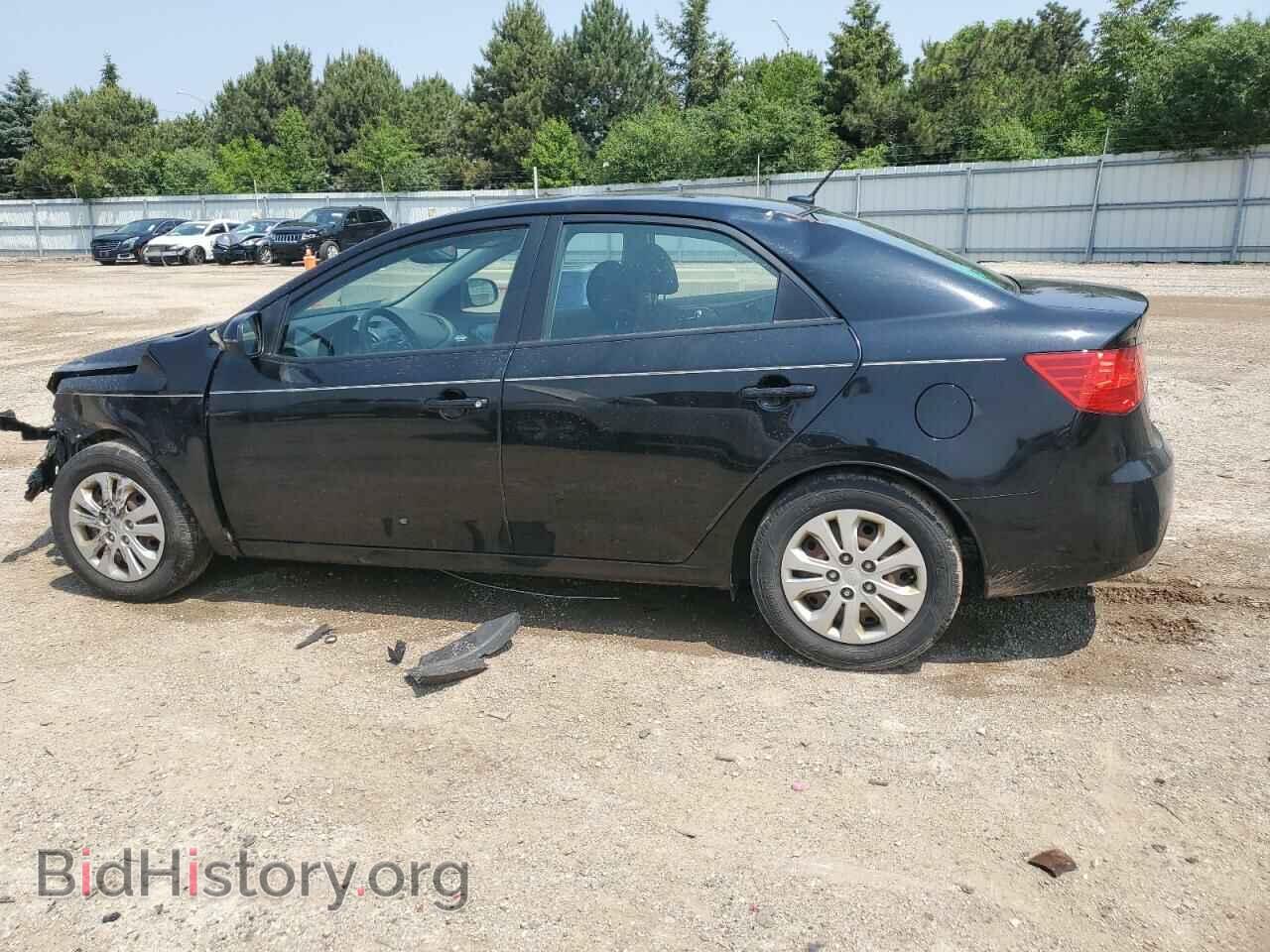 2013 KIA FORTE - VIN: KNAFU4A21D5685850 - Фото 2