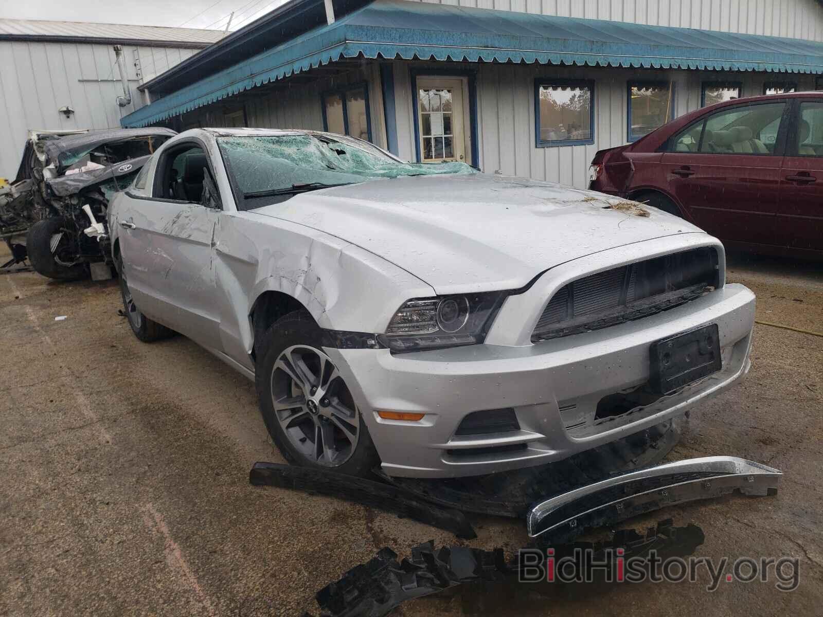 Photo 1ZVBP8AM4E5310597 - FORD MUSTANG 2014