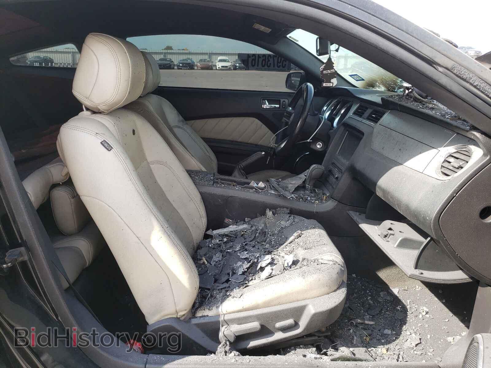 2014 FORD MUSTANG - VIN: 1ZVBP8CF5E5307058 - Фото 5