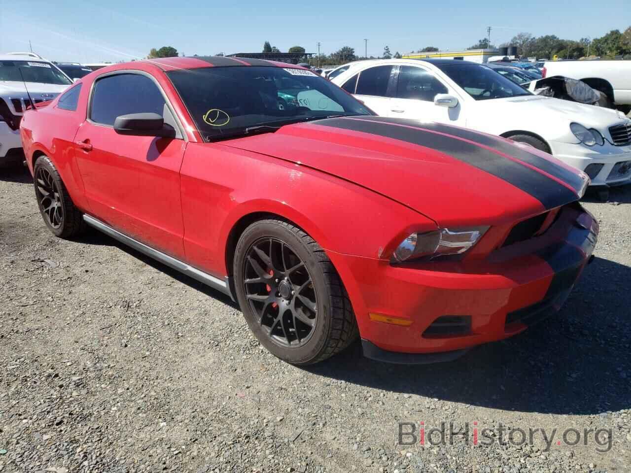 Photo 1ZVBP8AN7A5166045 - FORD MUSTANG 2010