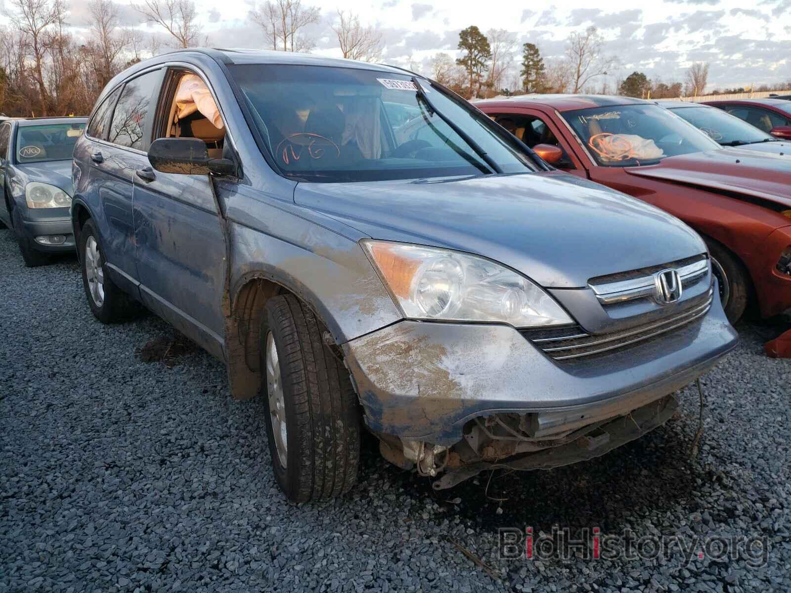 Photo JHLRE48598C010765 - HONDA CRV 2008