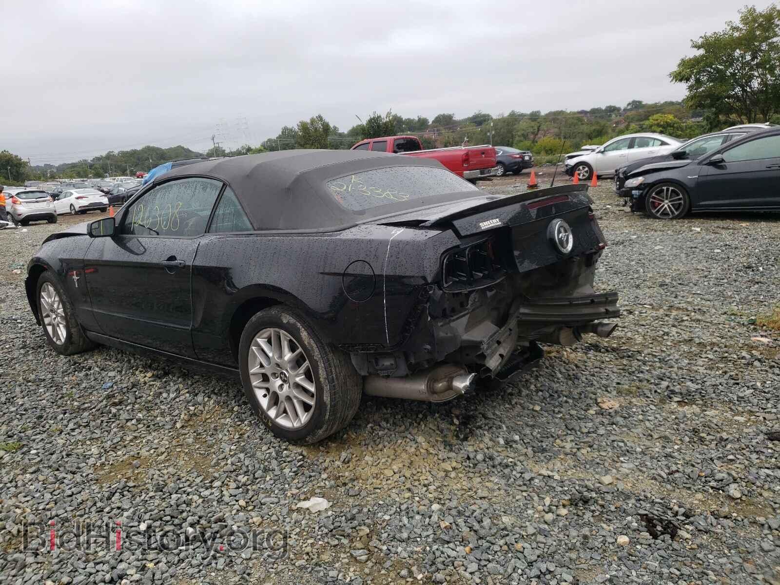 2014 FORD MUSTANG - VIN: 1ZVBP8EM4E5237337 - Фото 3