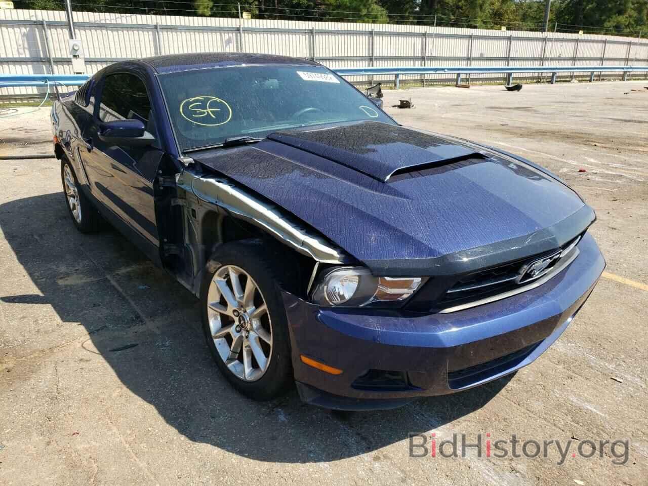 Photo 1ZVBP8AN9A5105165 - FORD MUSTANG 2010