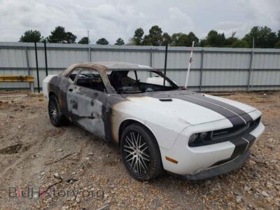 2014 Dodge CHALLENGER, белый — VIN 2C3CDYAG4EH133377, Copart
