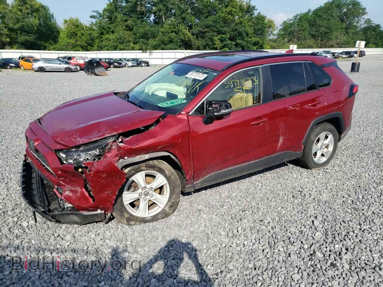 Фотография JTMP1RFV3KD507117 - TOYOTA RAV4 2019
