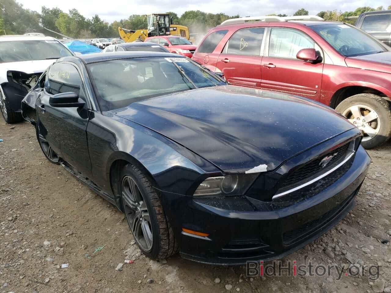 Photo 1ZVBP8AM2D5229709 - FORD MUSTANG 2013