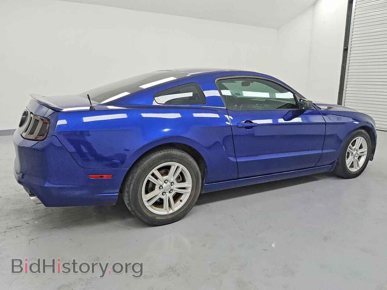 2013 FORD MUSTANG - VIN: 1ZVBP8AM9D5281824 - Фото 3