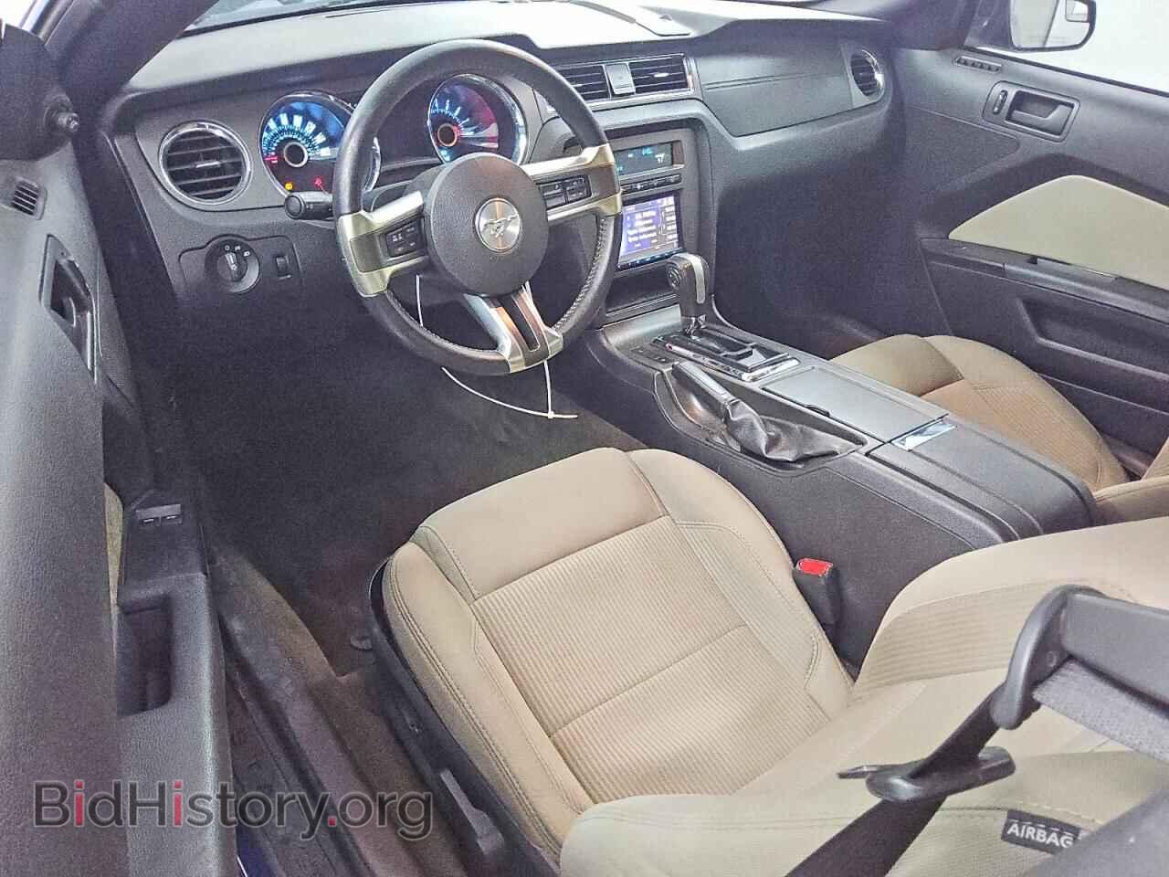 2013 FORD MUSTANG - VIN: 1ZVBP8AM9D5281824 - Фото 8