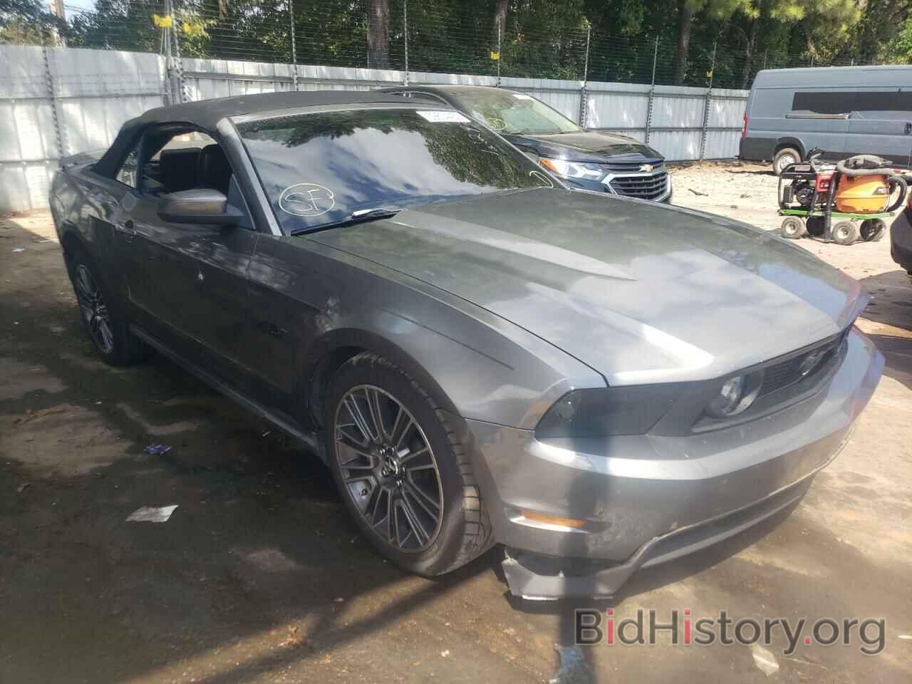 Photo 1ZVBP8FH5A5119177 - FORD MUSTANG 2010